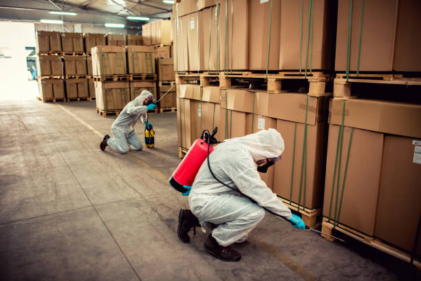 Best Pest Inspection Near Me  in Shepherdsville, KY
