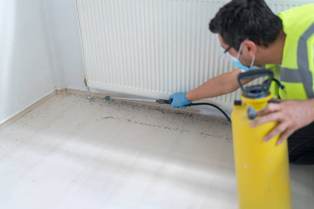 Best Wasp Removal Services  in Shepherdsville, KY